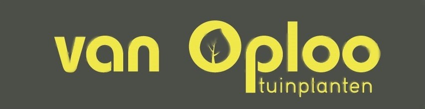 Van Oploo